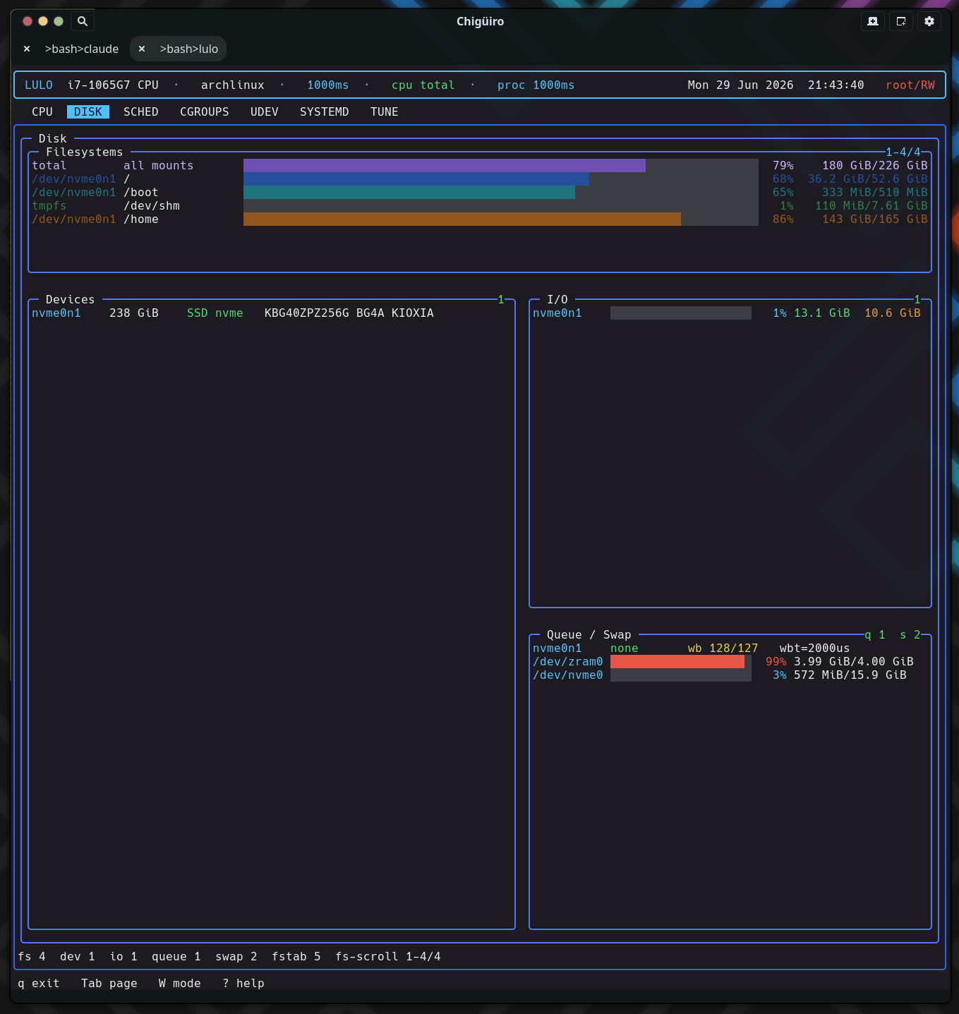 Lulo DISK page with filesystems, devices, I/O, and queue panels